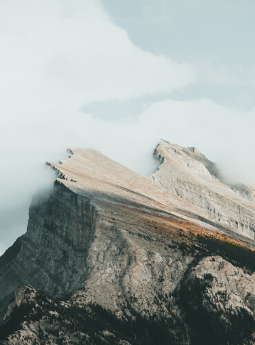 Evelyn’s Picks Service 3